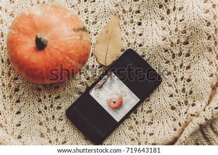 phone with photo of pumpkin and leaf with cute pumpkin on warm sweater, top view. instagram blogging concept. halloween or thanksgiving fall holiday. space for text. cozy mood autumn