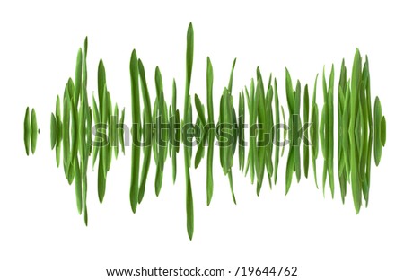 Blades of grass in a row, mirrored as if in water, creating the appearance of a soundwave. Isolated on white background.