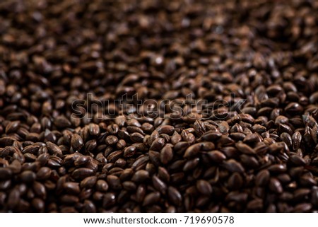 Close up three types malt grains