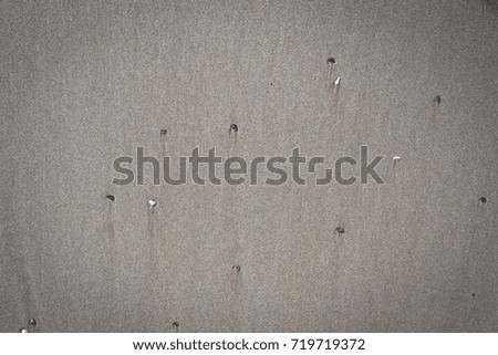 Sand Texture and background. Brown sand. Background from fine sand. 