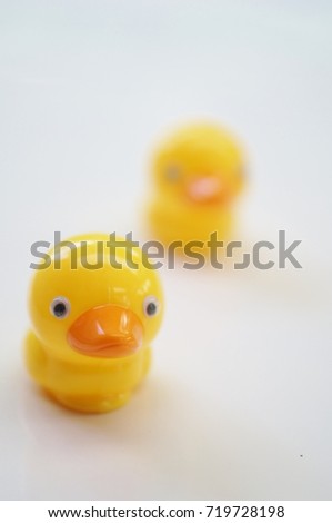 Duck toys on white background