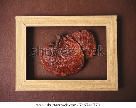 Ganoderma Lucidum - Ling Zhi Mushroom with picture frame
