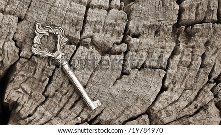Selective focus, old key on rustic wooden texture background, vintage color tone process,