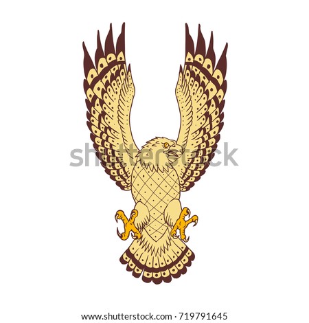 Drawing sketch style illustration of osprey, Pandion haliaetus also called sea hawk, river hawk, and fish hawk, a diurnal, fish-eating bird of prey in swooping motion from front isolated background.