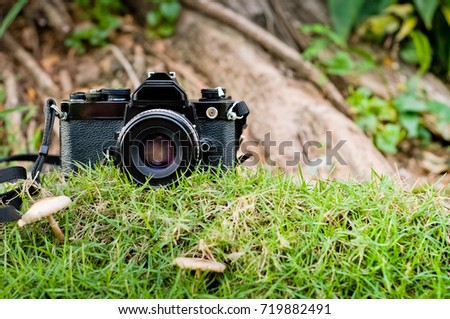 Vintage 35mm SLR film camera on the green grass and on tree background.