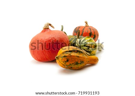 Five pumpkins on a white background