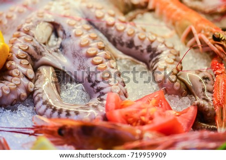 fresh sea food close up - lobster, shrimps, octopus, shells, prawns  