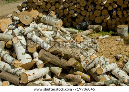 Billets for firewood from birch. The Russian village.