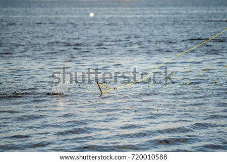 Image of ripple on sea surface