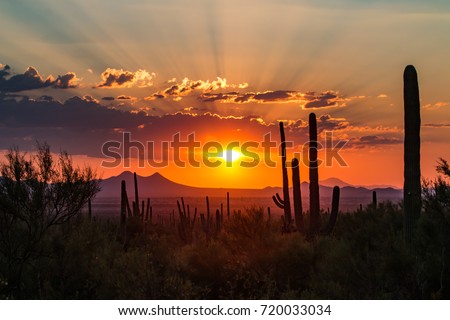 Tucson, Arizona Royalty-Free Stock Photo #720033034