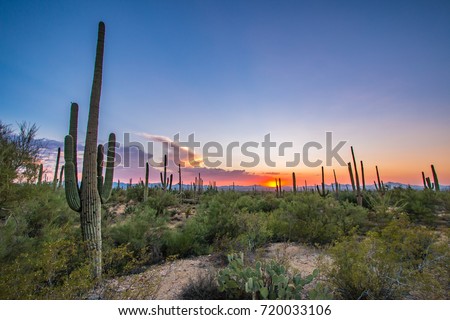 Tucson, Arizona Royalty-Free Stock Photo #720033106