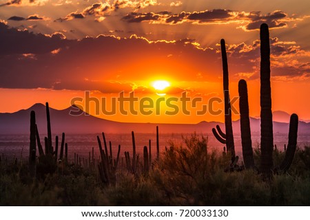 Tucson, Arizona Royalty-Free Stock Photo #720033130