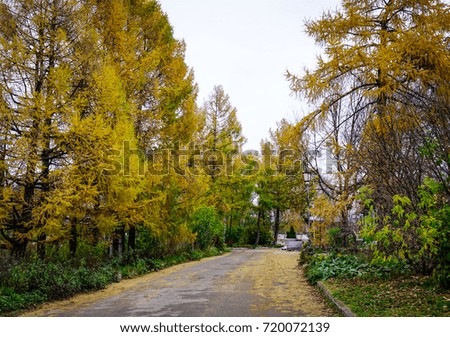 Autumn scenery with rural road in Suzdal Ancient Town, Russia.