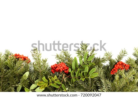 Christmas background with decorations, holly berry, cones isolated on white