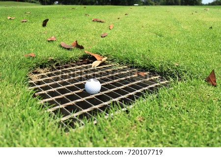 Golf Ball on the Drainage Screen