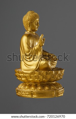 The statue of the Golden Buddha sitting on a lotus flower and the inscription Hong Kong. isolated gray background.