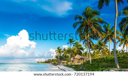 Caribbean beach with white sand and green palm trees at sunset.