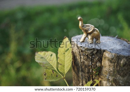 Little elephant object standing on a chopped tree 