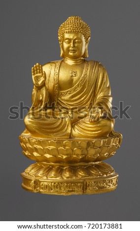 The statue of the Golden Buddha sitting on a lotus flower and the inscription Hong Kong. isolated gray background.