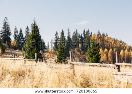 Stunning image of the bright hills in sunny beams. Gorgeous and picturesque morning scene. Red and yellow leaves. Location place Carpathians, Sheshory resort, Ukraine, Europe. Warm tone. Beauty world
