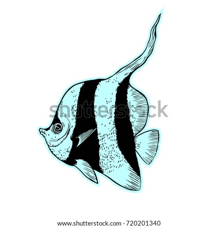Bright tropical sea fish - vector hand drawing isolated linear illustration in sketch style