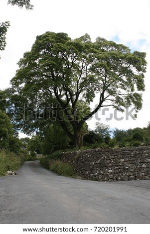 Yorkshire Dales Landscape Background