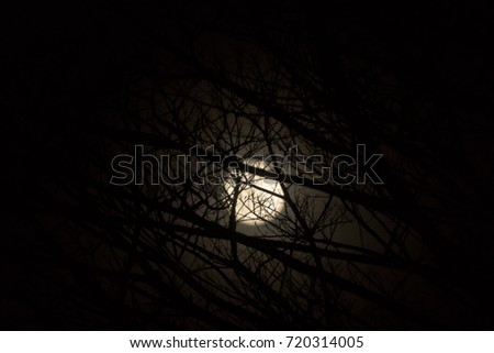 Low key image of Night sky and the moon with branch.