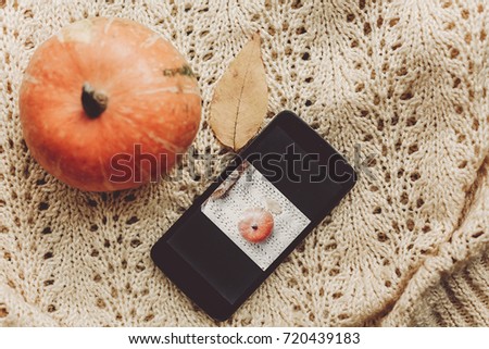 instagram blogging concept. phone with photo of pumpkin and leaf on warm sweater, top view. halloween or thanksgiving holiday. space for text. cozy mood autumn,rustic background flat lay