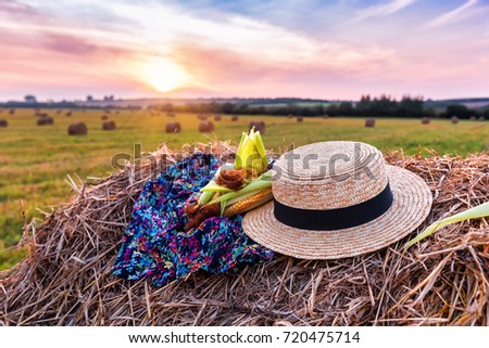 ripe corn and straw hat on the bale on sunset