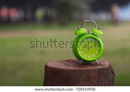  A green clock table on wooden stump with nature background 