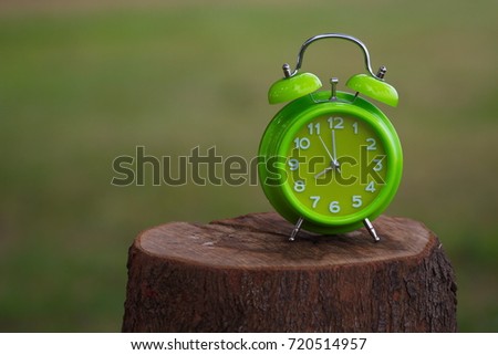  A green clock table on wooden stump with nature background 