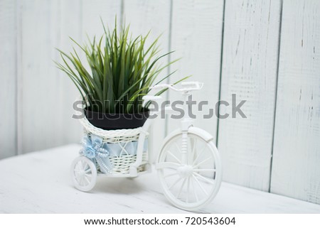 Composition decor. Bicycle with green grass, on white background