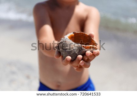 Children holding a shell at the seaside