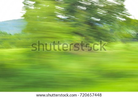 Natural tree picture blurred