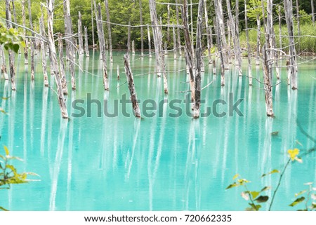 Rainy Blue pond / Biei Hokkaido,Japan
