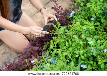 woman taking a picture with her mobile to some plants