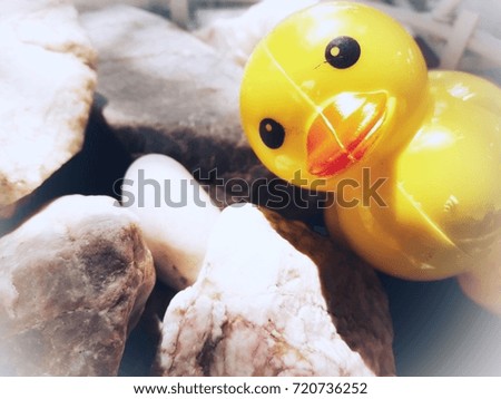 a yellow duck toy snap with rocks and the sunlight is shining 