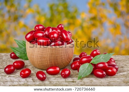 dogwood berry with leaf in bowl on wooden table with a blurry garden background