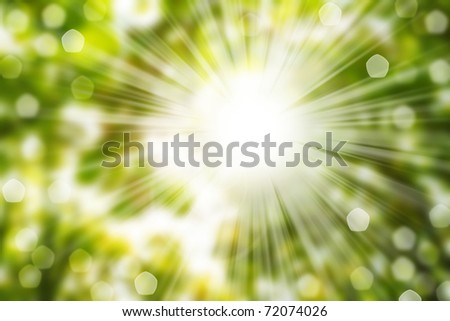 nature spring bokeh background with sun beam