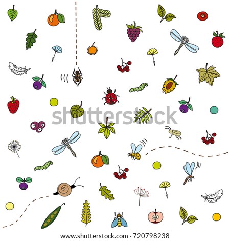 Illustration with berries, leaves and insects.