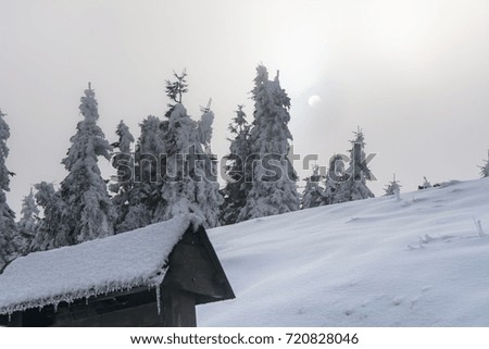 Jeseniky Mountain, Czech Republic, Europe