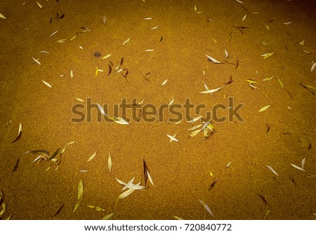 Autumn wallpaper, fallen leaves on a orange background