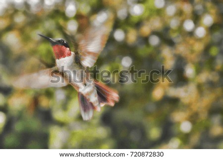 Abstract Hummingbird Image - Photograph of a male Ruby Throated hummingbird in flight, with a softly blurred filter for a dreamy effect.  Pink flowers and vines in the background.