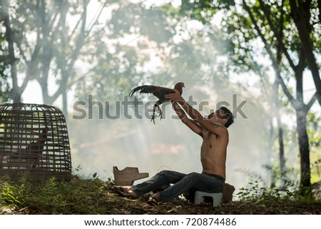 Asian man and cock with gamecock of countryside lifestyle