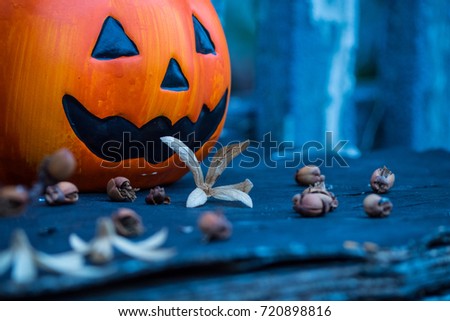 Pumpkin head on wooden background at night Halloween.