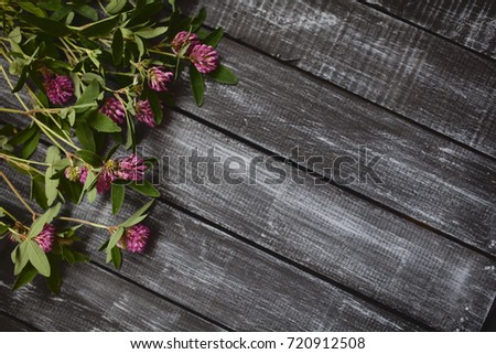 purple clover flowers on wooden background with empty space. Top view