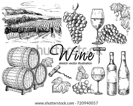 Vector set of vine products. Vector illustration in sketch style. Hand drawn design elements. Royalty-Free Stock Photo #720940057