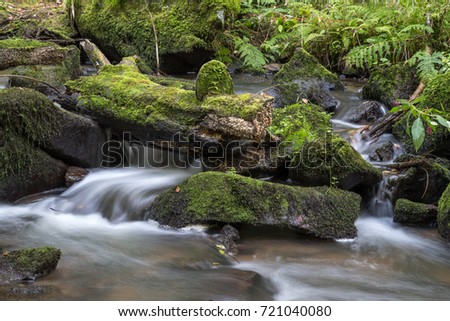 Slow shutter speed picture of a small river with mossy rocks in the forest.