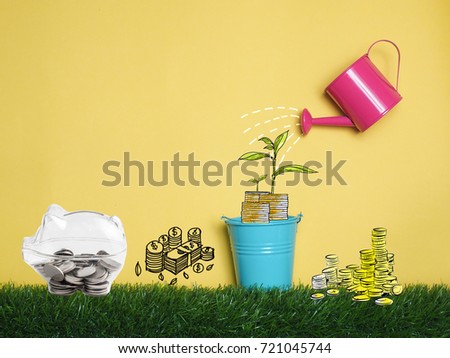 Top view Investment is like planting trees. Take care it will provide a good growth on colorful background.Watering can and money tree drawn concept for business investment, piggy bank object.