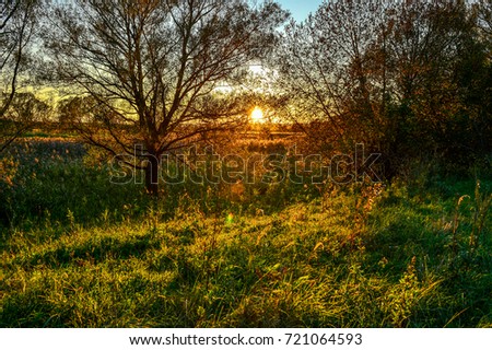 Autumn rays of the sun on the grass in the meadow at dawn
